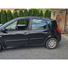 Рейлинги Renault Scenic