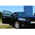 Хром накладки Peugeot 301