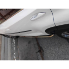 Подножки Lexus NX