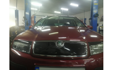 Зимняя накладка на решетку Skoda Fabia