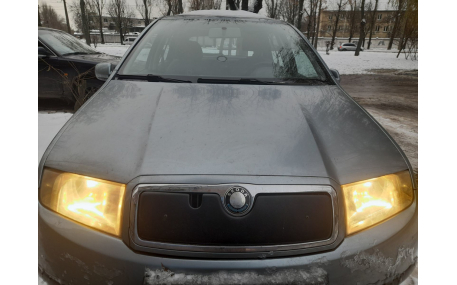 Зимняя накладка на решетку Skoda Fabia