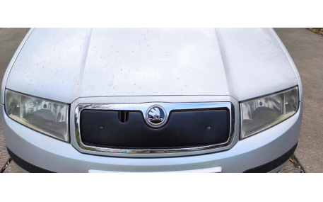 Зимняя накладка на решетку Skoda Fabia