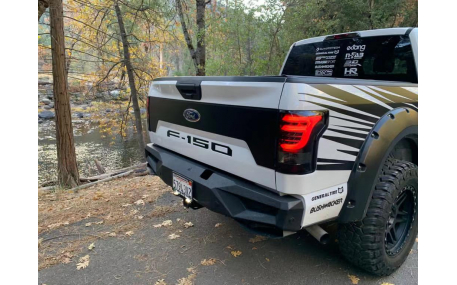 Фонари задние Ford F150