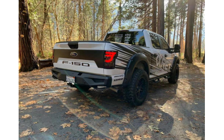 Фонари задние Ford F150