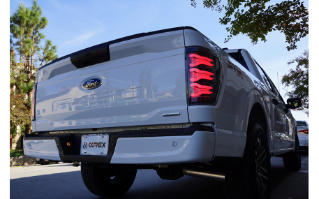 Фонари задние Ford F150