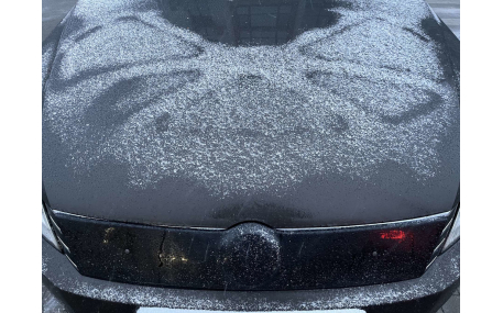 Зимняя накладка на решетку Volkswagen Passat B7