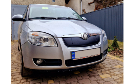 Зимняя накладка на решетку Skoda Fabia