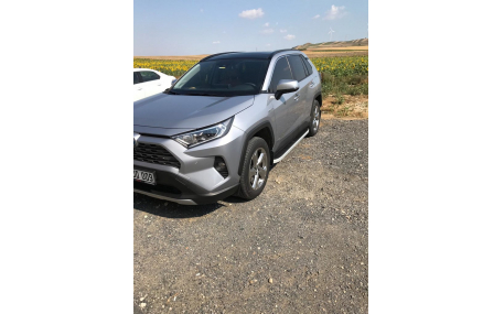 Подножки Toyota RAV4