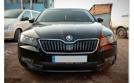 Зимняя накладка на решетку Skoda Superb