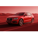Подножки Audi Q5