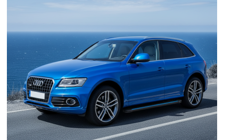 Подножки Audi Q5