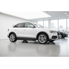 Подножки AUDI Q3