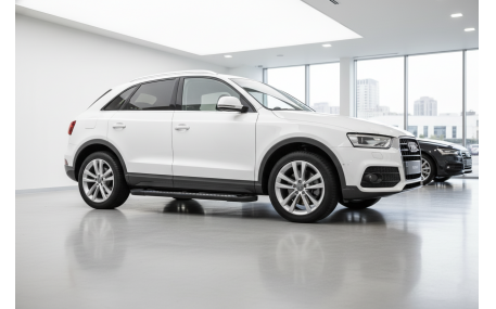 Подножки AUDI Q3
