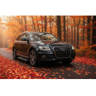 Подножки AUDI Q5