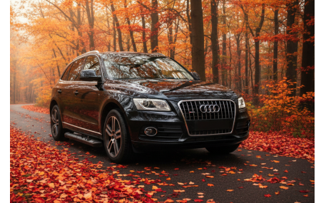 Подножки AUDI Q5