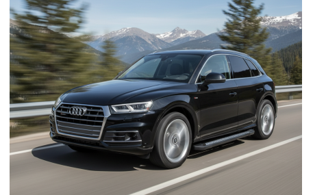 Подножки AUDI Q5