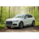 Подножки Audi Q5