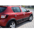 Молдинги дверей Renault Sandero