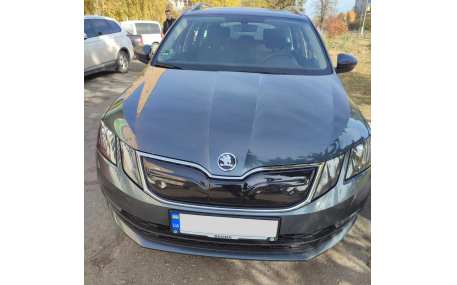 Зимняя накладка на решетку Skoda Octavia A7