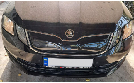 Зимняя накладка на решетку Skoda Octavia A7