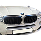 Решетка радиатора BMW X5 (F15)