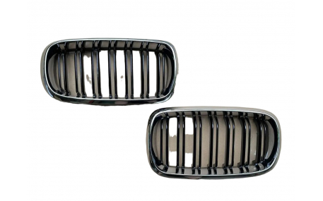 Решетка радиатора BMW X5 (F15)