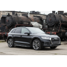 Подножки AUDI Q5