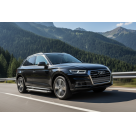 Подножки AUDI Q5
