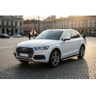 Подножки AUDI Q5