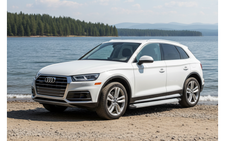 Подножки Audi Q5