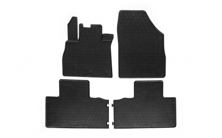 Коврики в салон Renault Scenic