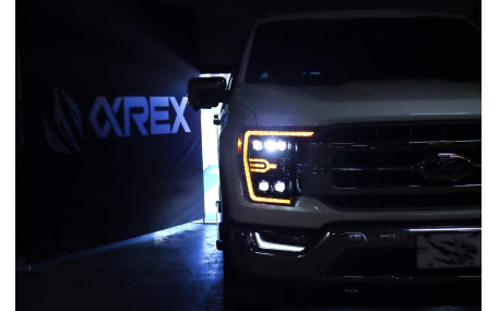 Фары передние Ford F150