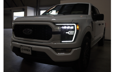 Фары передние Ford F150