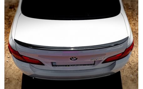 Спойлер BMW 5 (F10)