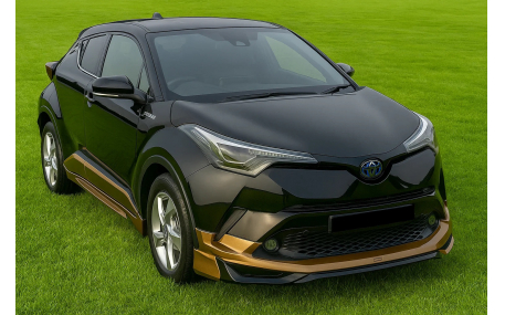 Накладки на бампера Toyota C-HR