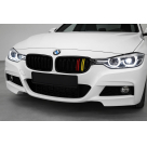 Решетка радиатора BMW 3 F30