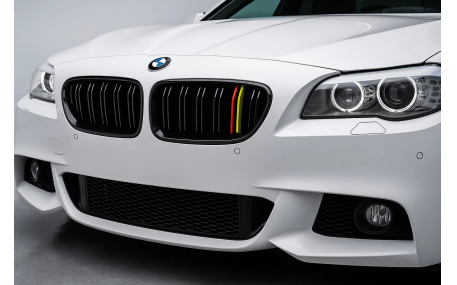 Решетка радиатора BMW 5 (F10)