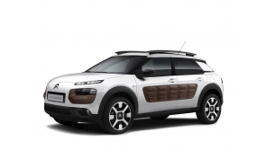 C4 Cactus (2014-...)