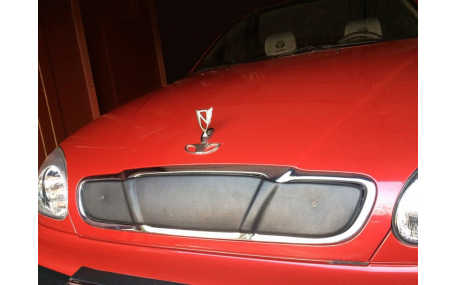 Зимняя накладка на решетку Daewoo Lanos