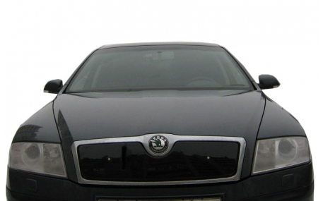 Зимняя накладка на решетку Skoda Octavia A5