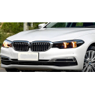 Фары передние BMW 5 G30 2016-2020