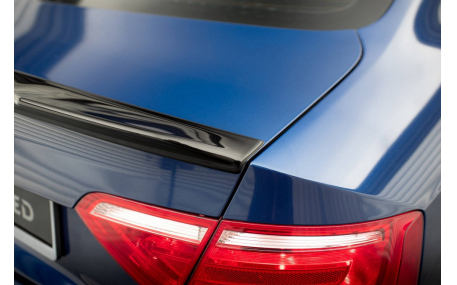 Спойлер Audi A5 Coupe