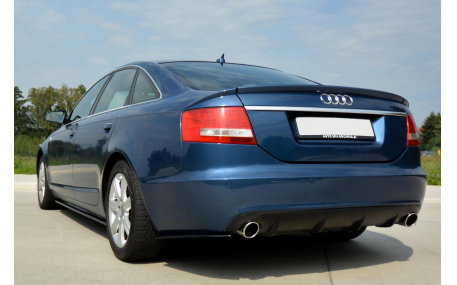 Пороги Audi A6 C6