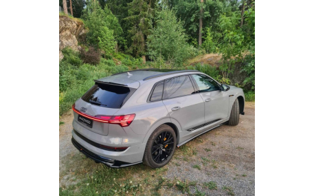 Накладка задняя AUDI E-Tron