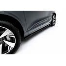 Пороги Audi Q6 E-Tron