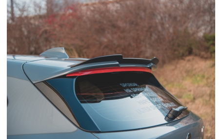 Спойлер BMW 1 (F40)