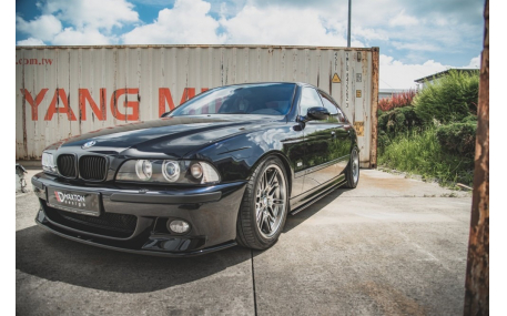 Пороги BMW 5 (E39)