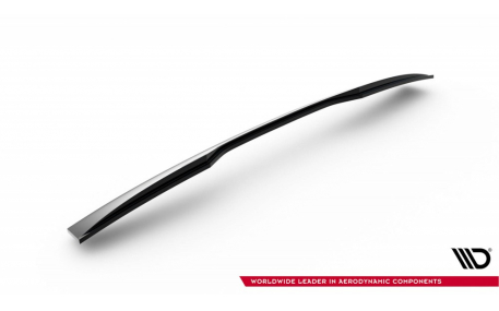 Спойлер BMW 5 G30