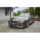 Пороги BMW 6 Grand Coupe (F06)
