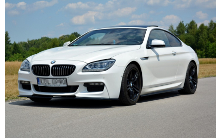 Пороги BMW 6 Coupe (F13)